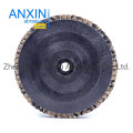 Flap Disc with M10 Hole